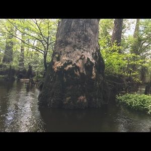 Meet your Posher, Zach black